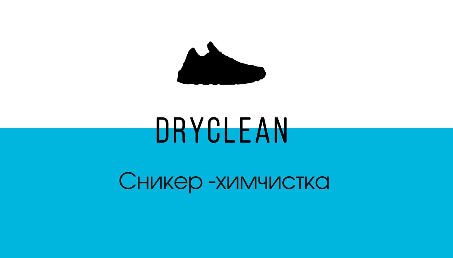 <span style="font-weight: bold;">Dry Clean</span><br>